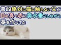 【涙腺崩壊】普段絶対に猫に触らない父が目を真っ赤に鼻水垂らしながら墓を作ってた