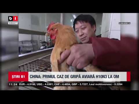 Video: Prima infecție umană din lume cu virusul gripei aviare H10N3. Suntem expuși riscului unei alte epidemii?