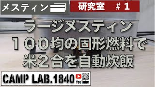 ラージメスティンで米２合を自動炊飯