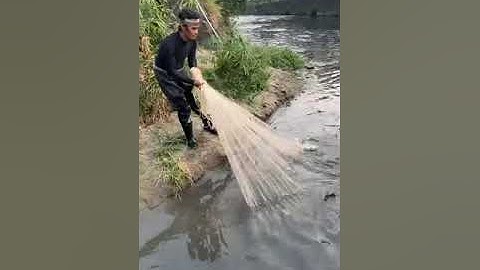 Amazing Cast Net Fishing Skill Catch Giant Fish -Awesome Traditional Net Fishing on The River Part 8