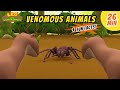 Venomous Animals - Goliath Birdeater Spider and more animal stories!