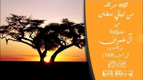 تلاوة مرتله من ليالي رمضان لعام 1438 من سورة ال عمران بصوت الشيخ القارئ انور الجبرتي