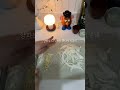 태국식 족발덮밥 카오카무 만들기 남은 족발 활용방법