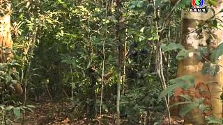 [Supap Buruth Jutathep]Khunchai Rachanon E06 5/9 [Engsub]