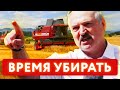 Крепостное право вновь легально в Беларуси / Шкловский председатель добивает сельское хозяйство
