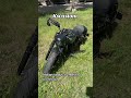 Невеличкий кастом з Індіан скаут