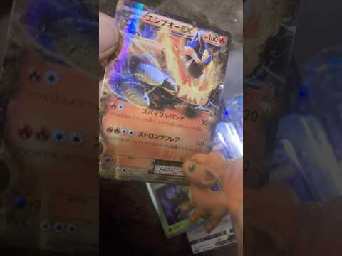 ポケモンカードストレージ紹介動画！#ポケカ #ポケモンカード #ポケモン #ポケカ開封 #pokemon #shorts