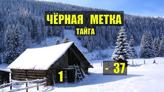ПРОКЛЯТОЕ МЕСТО в ГЛУХОЙ ТАЙГЕ ЗОЛОТО ЧЕРНАЯ МЕТКА в ЛЕСУ ИСТОРИИ из ЖИЗНИ ПОХОД АУДИОКНИГА СЕРИАЛ 1