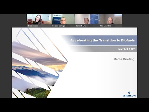 加速向生物燃料的过渡-虚拟简报