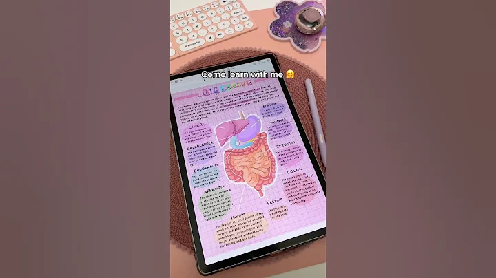 How I take aesthetic digital notes ✏️💗 Penly app | Samsung galaxy tab S9 | aesthetic notes
