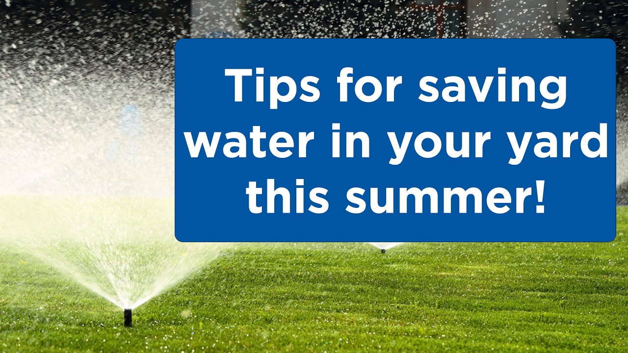 Tips to save water in your yard this summer - YouTube
