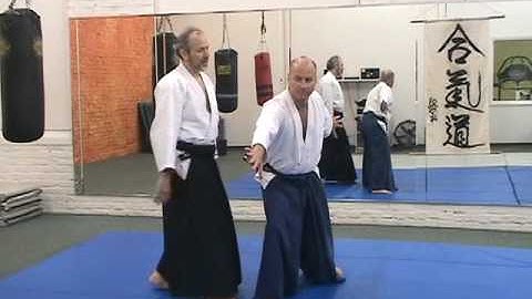 Aikitaiso Ushiro Tori Zenpo Nage Undo