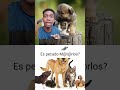 ¿Es pecado el maltrato animal?  que dice la biblia