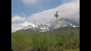 Пение птиц,звуки природы,для релаксации, сна,медитации.RELAX| Singing birds,High Tatras.RELAX Пение птиц,звуки природы,для релаксации, сна,медитации.RELAX| Singing birds,High Tatras.RELAX