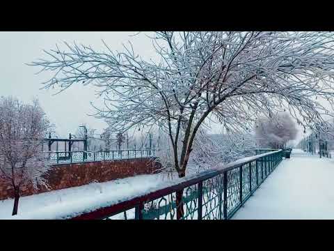 Temâşâ / Kar