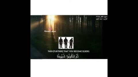 سورة غافر  آيه مؤثره للقارىء احمد العبيد