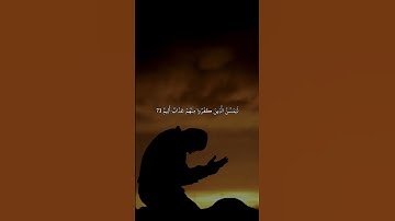 سورة المائدة | 73 عبدالله القرني 🌹