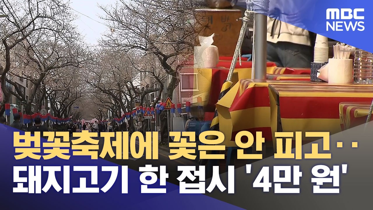 ⁣벚꽃 없는 왕벚꽃 축제‥ 한 접시 4만 원? (2026.03.27/뉴스데스크/제주MBC)