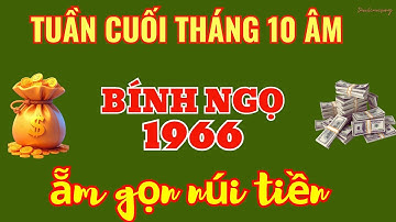 ĐẠP PHẢI VẬN VÀNG! Bính Ngọ 1966 - 7 Ngày Cuối Tháng 10 Âm: TRỞ THÀNH ĐẠI GIA