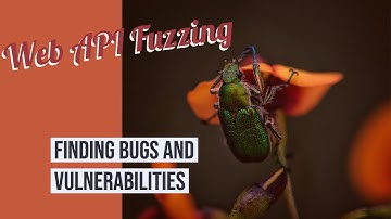 Catching Bugs through Web API Fuzzing - OpenAPI