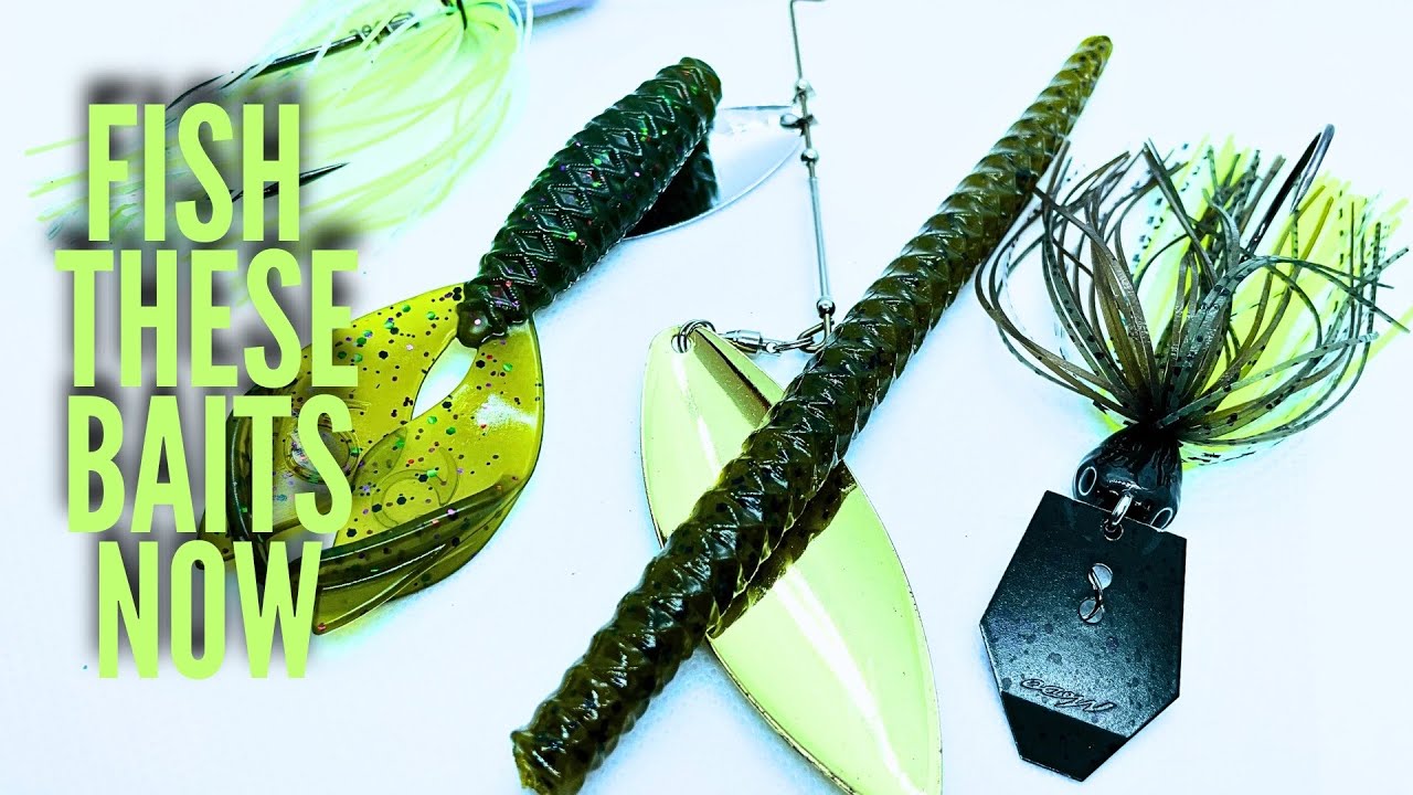 These BAITS will CATCH you MORE BASS this SPRING! 