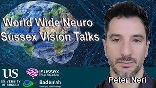 World Wide Neuro | Sussex Vision Series - 16/06/2020 - Peter Neri