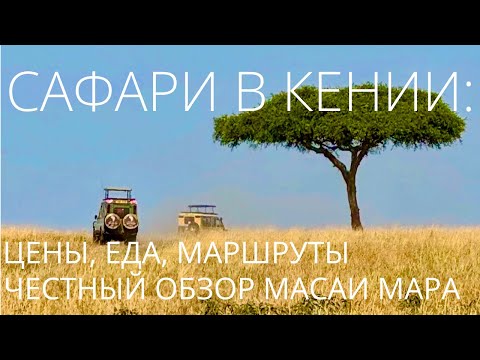 Сафари в Кении: еда, цены и настоящая Африка