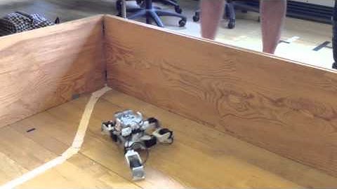 31384 - Modular Robotics June 2014 - DTU - Walking Robot
