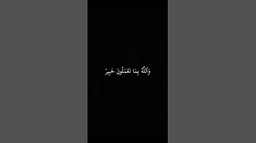 ان تبدو الصداقات || كرومات القران الكريم || شاشة سوداء