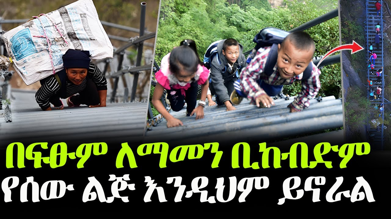 ለማመን የሚከብደው መኖሪያ!