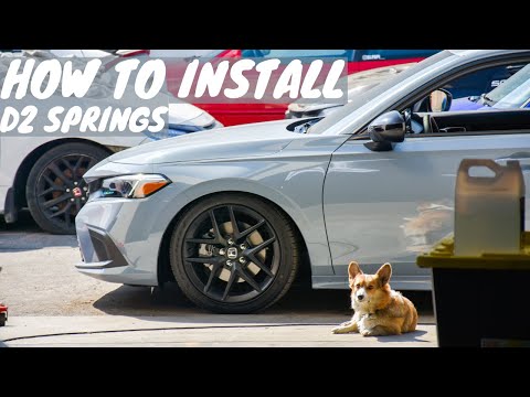 How to install 2022 Civic Si Springs // Slammed 11thgen Civic FE1 D2 Springs