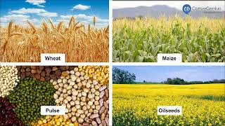 Types of farming | Class 8 | Geography