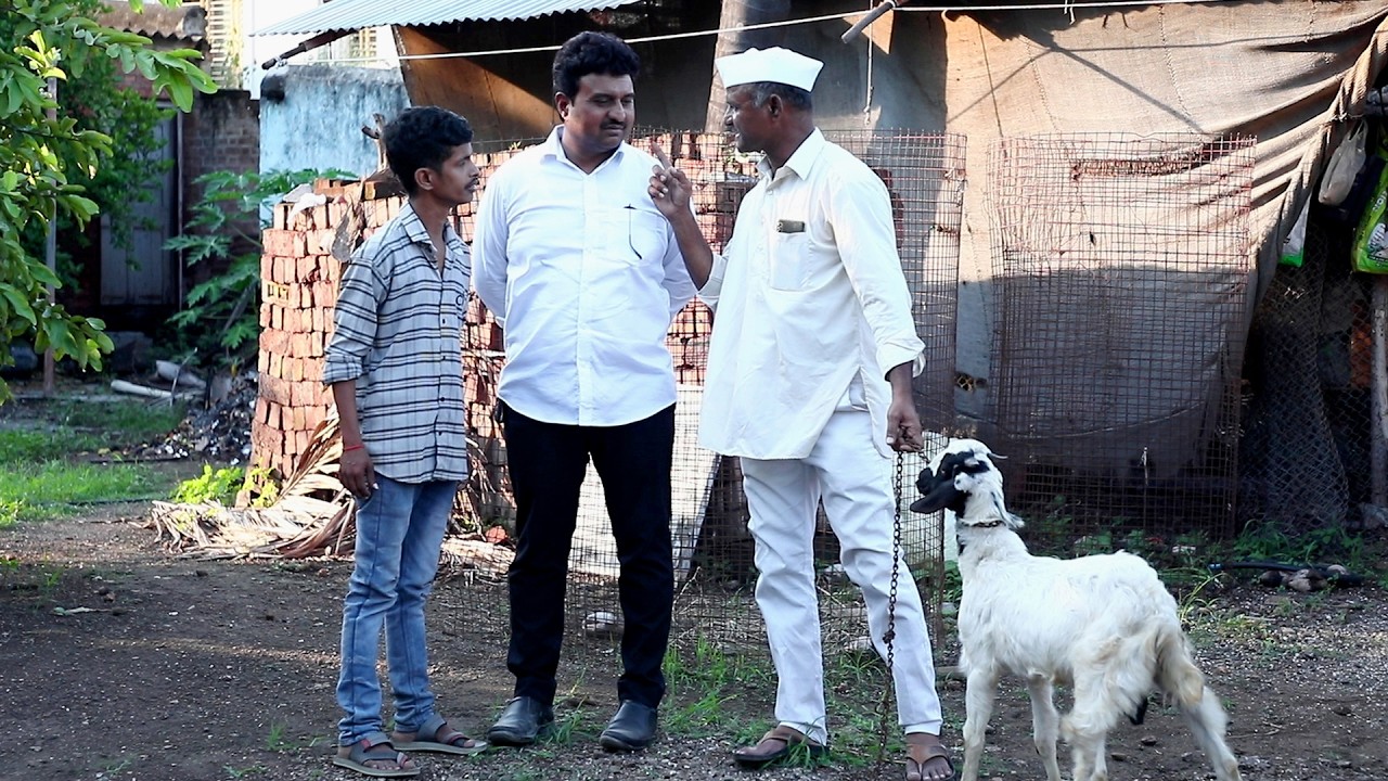 चक्क डेप्युटीनी चोरला सदाचा बोकड | राया मराठी - भाग - १२० | Raya Marathi Episode - 120