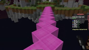 Pika network Hacker Caught 2 hackers