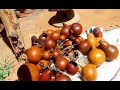 MADABALA MAYUKU SAI SHUKA 0764410488 Mp3 MADABALA MAYUKU SAI SHUKA 0764410488 Mp3