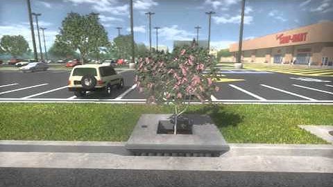 Overview of Filterra Maintenance