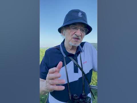 Функции меди - YouTube