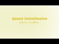 Gases intestinales ¿Cómo eliminarlos?