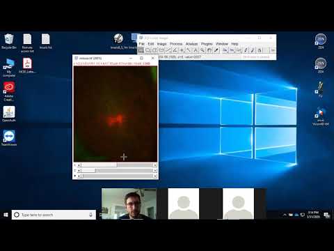 Intro to ImageJ/Fiji