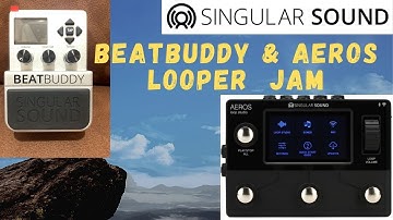 Aeros Looper & BeatBuddy Bass Jam