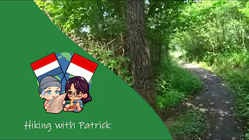 Was that a deer?! Hiking 11.66 Km in Swartbroek