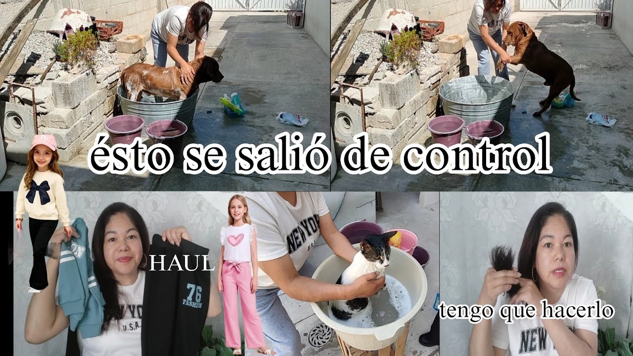 Esto se salió de control 😬/ nesesito hacerlo pero no quiero 😕/  😺😺🐶/   HAUL 