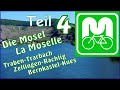 MoselRadweg #4 Traben-Trarbach, Erden, Zeltingen-Rachtig, Bernkastel-Kues [Radtouren Radreisen]