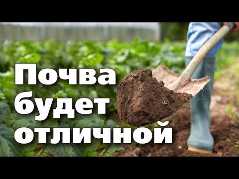 Видео: Где найти илистую почву?