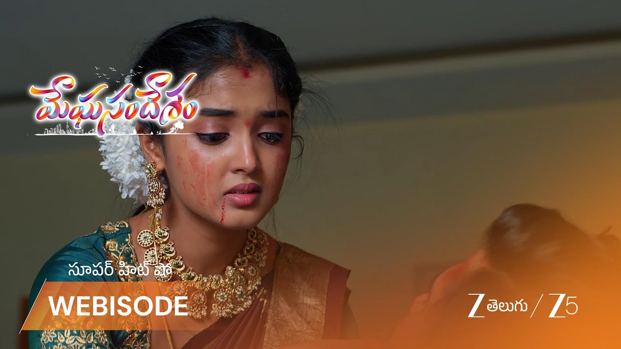 МЕГХАСАНДЕСАМ | Организация Earth оказала поддержку пострадавшему Гагану.