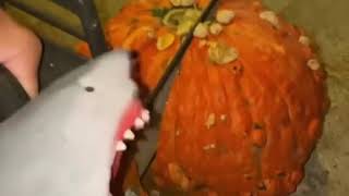 Shark Puppets Pumpkin