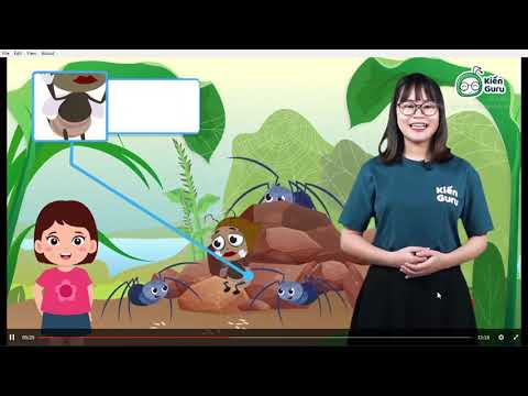 Video Tập đọc Dế Mèn bênh vực kẻ yếu - YouTube