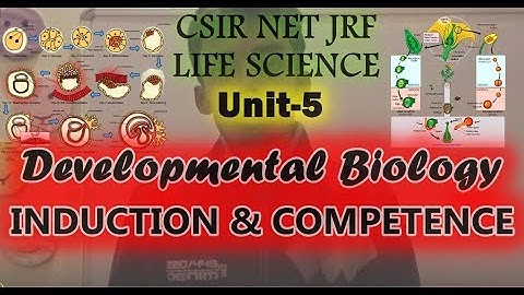 Unit 5: Developmental Biology- Induction & Competence