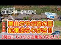 【美山かやぶきの里、紅葉ぶらり歩き‼】ちょっと早い紅葉を楽しみながら、かやぶきの里をぶらぶらと歩いて来ました!!