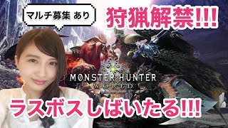 【MHW】モンハンワールド狩猟解禁！ラスボスしばく！MONSTER HUNTER【こたば】